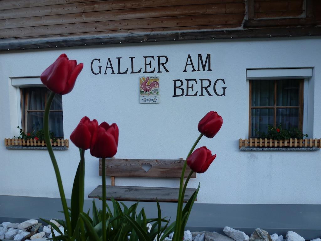 Galler Am Berg ซานกานดิโด ภายนอก รูปภาพ